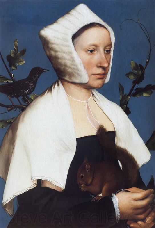 Hans holbein the younger Portrait of a Lady with a Squirrel and a Starling Norge oil painting art